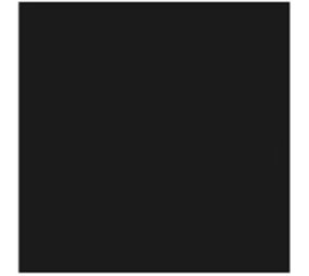 Flexfolie EasyWeed ™ Black / Zwart Flexfolie EasyWeed ™ Black / Zwart