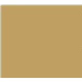 Flexfolie EasyWeed ™  Goud Flexfolie EasyWeed ™  Goud