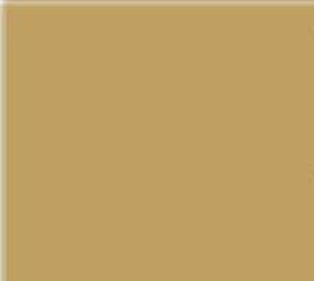 Flexfolie EasyWeed ™  Goud Flexfolie EasyWeed ™  Goud