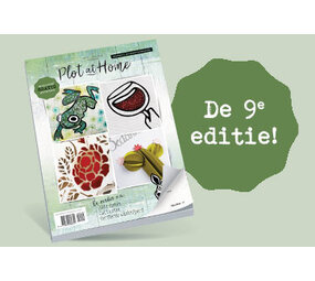 Plot at home -9 Plot at home -9