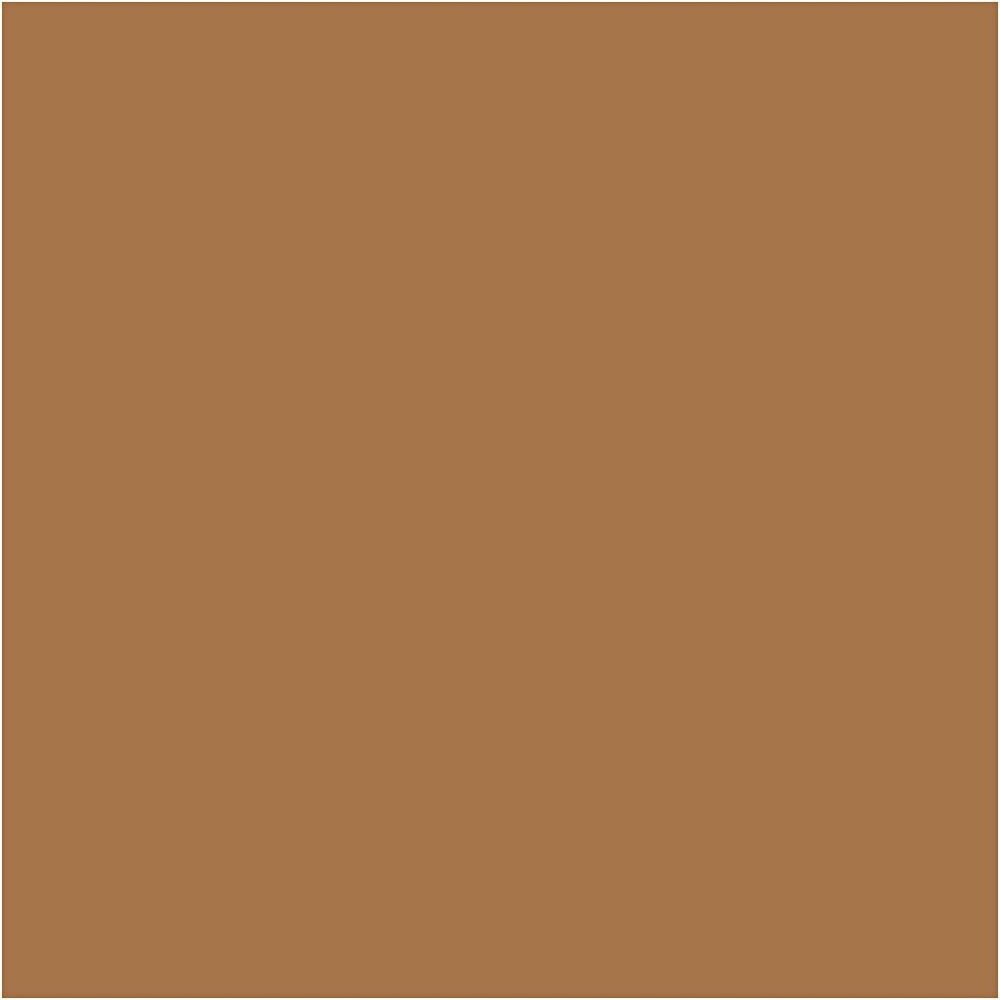 Plus Color Acrylverf - Raw Sienna Plus Color Acrylverf - Raw Sienna