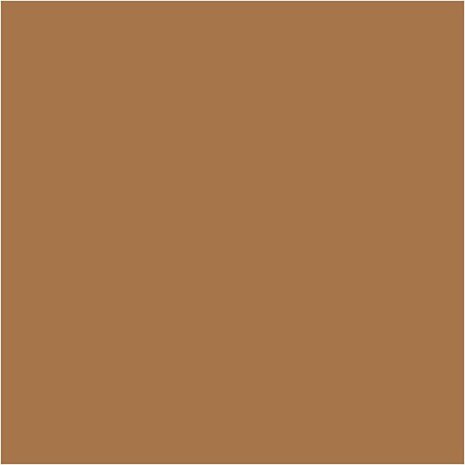 Plus Color Acrylverf - Raw Sienna Plus Color Acrylverf - Raw Sienna