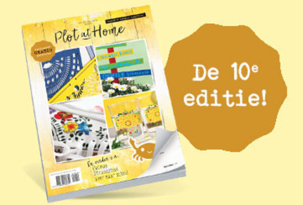 Plot at home -10 Plot at home -10