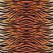 Cricut Infusible Ink™ Transfer Sheet Patterns, Animal Cricut Infusible Ink™ Transfer Sheet Patterns, Animal