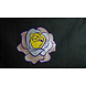 Siser Flexfolie EasyWeed ™ Electric Silver Siser Flexfolie EasyWeed ™ Electric Silver