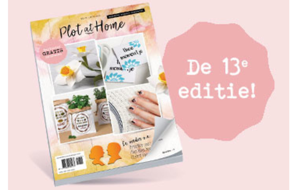 Plot at home - 13