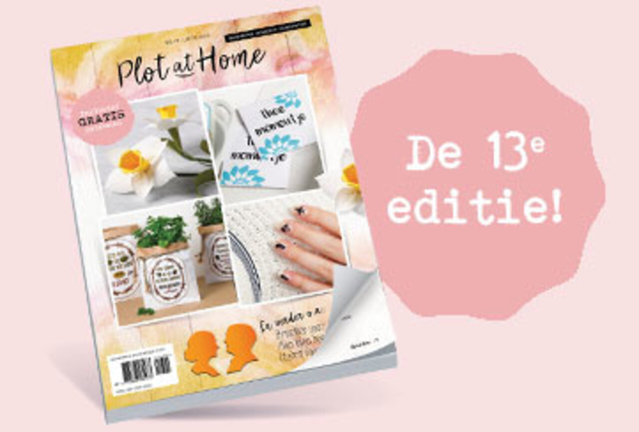 Plot at home - 13 Plot at home - 13