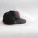 Pet met Vizier Pet met Vizier