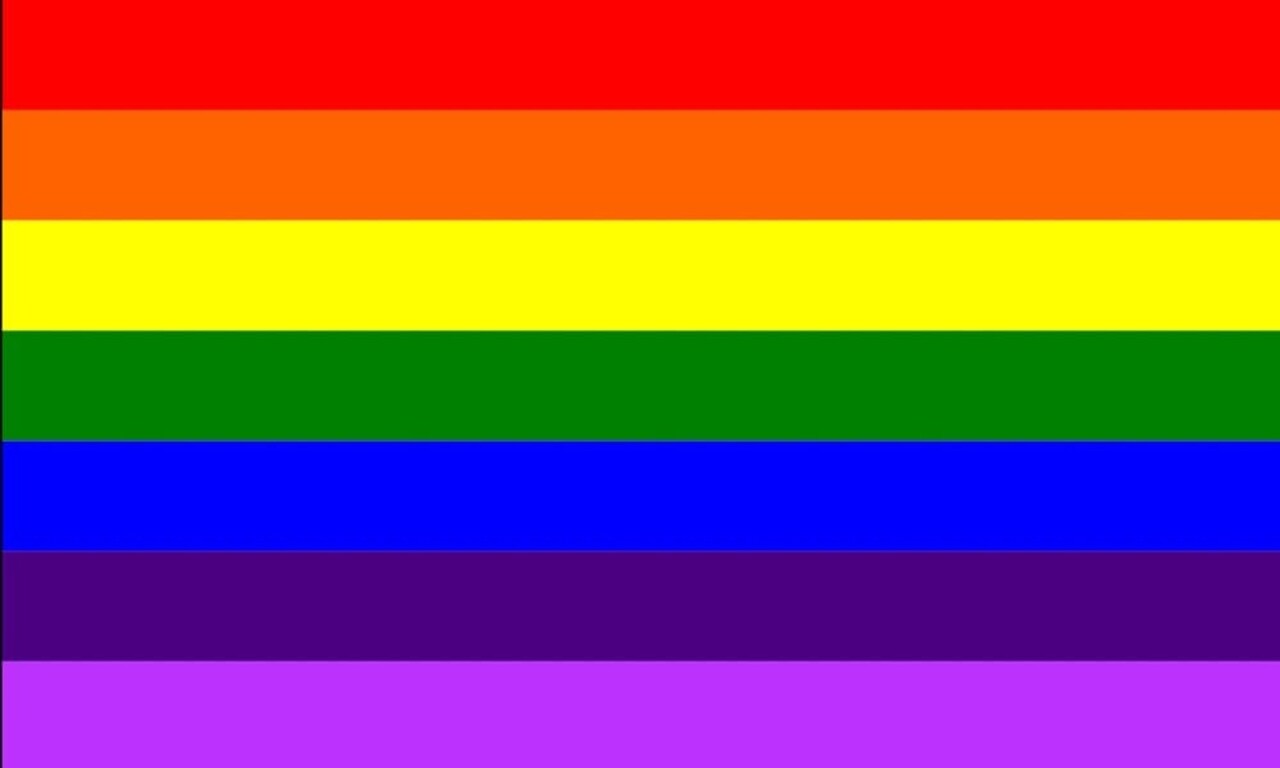 Flock Regenboogpakket Flock Regenboogpakket