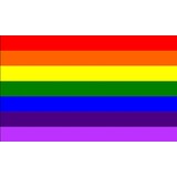 Flock Regenboogpakket Flock Regenboogpakket