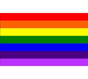 Flock Regenboogpakket Flock Regenboogpakket