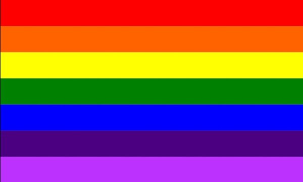 Flock Regenboogpakket Flock Regenboogpakket