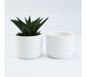 Bloempotje keramiek: Wit