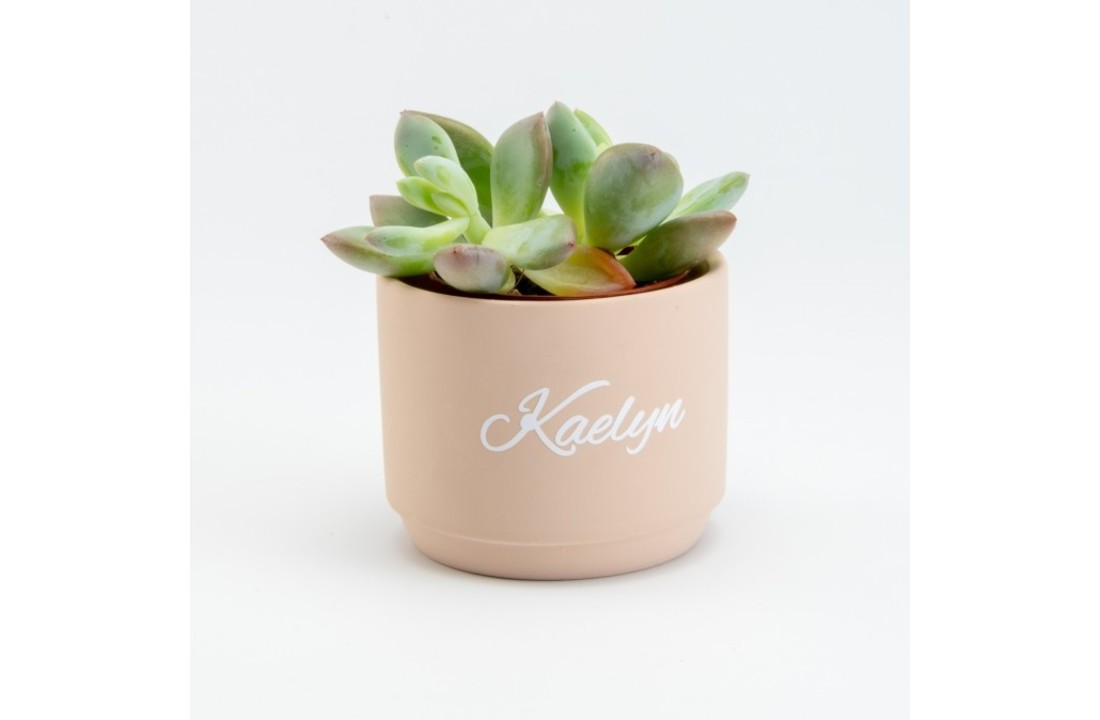 Bloempotje keramiek: Blush