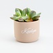 Elaut Bloempotje keramiek: Blush Elaut Bloempotje keramiek: Blush