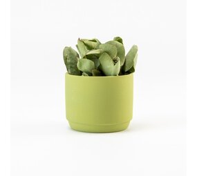 Bloempotje keramiek: Zijdegroen