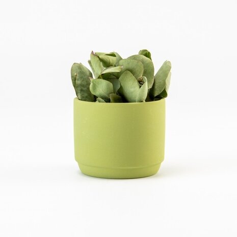 Bloempotje keramiek: Zijdegroen Bloempotje keramiek: Zijdegroen