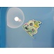 Waterslide Decal paper - WIT- laserjet Waterslide Decal paper - WIT- laserjet
