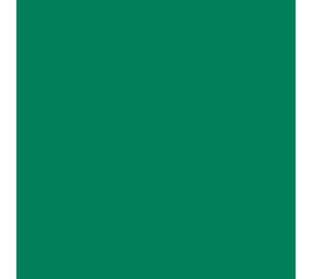 Flexfolie EasyWeed ™ Electric Green Flexfolie EasyWeed ™ Electric Green