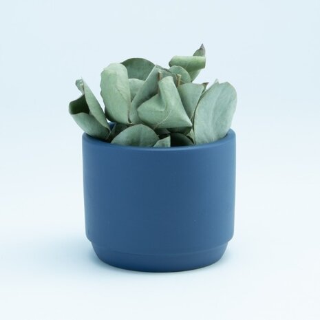 Bloempotje keramiek: Marineblauw Bloempotje keramiek: Marineblauw