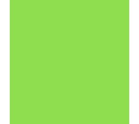 Vinyl Light Green (Mat) Vinyl Light Green (Mat)
