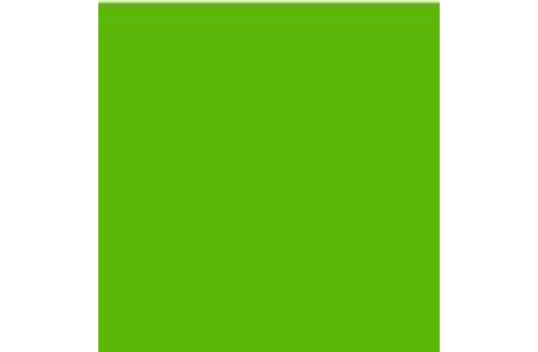 Vinyl Cactus Green (M)