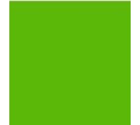 Vinyl Cactus Green (Mat) Vinyl Cactus Green (Mat)