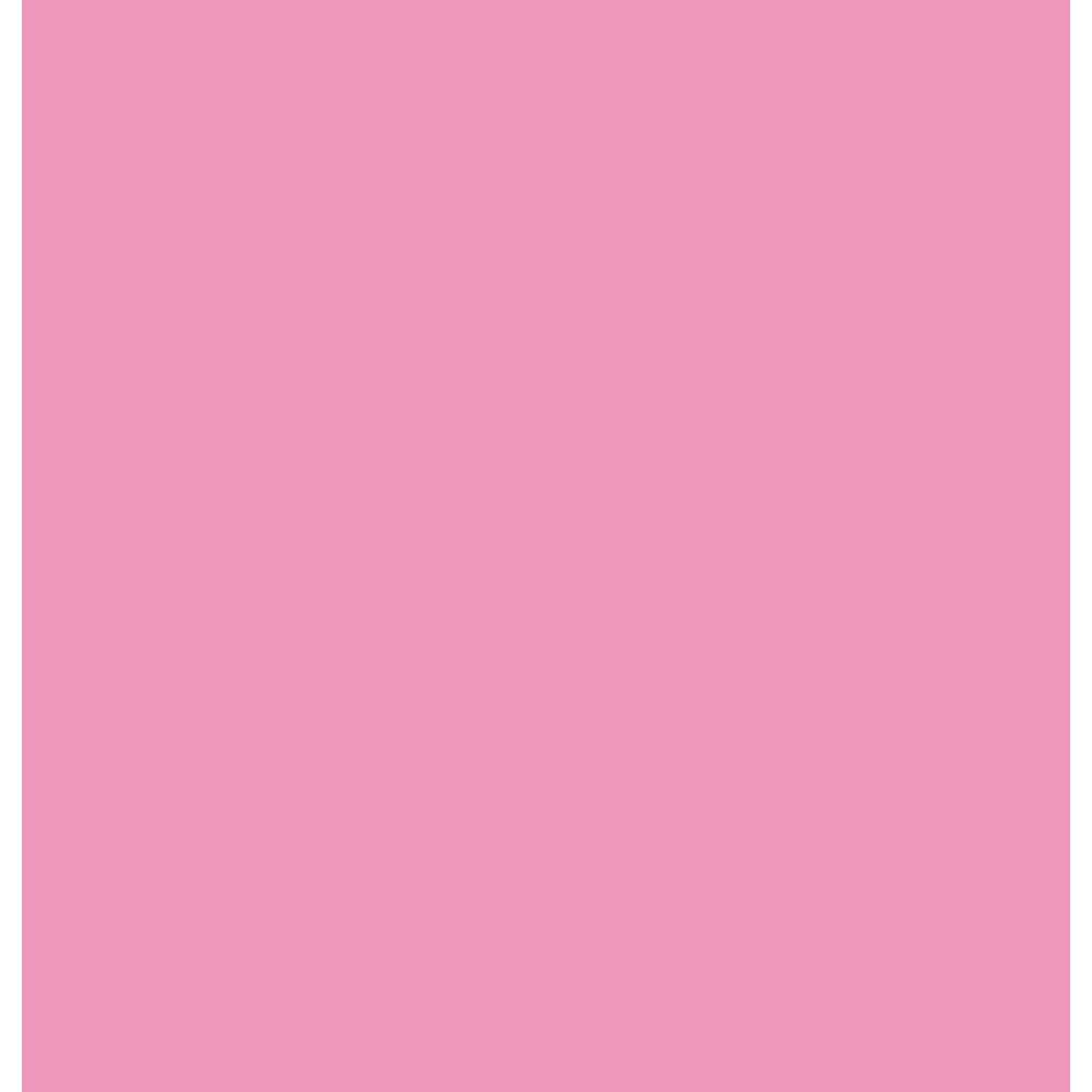 Vinyl Light Pink (Mat)