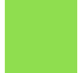 Vinyl Lime (G) Vinyl Lime (G)