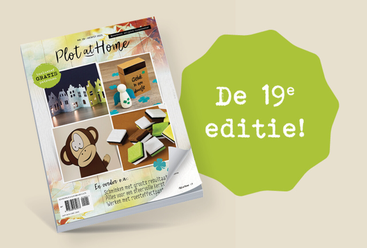 Plot at home - 19 Plot at home - 19