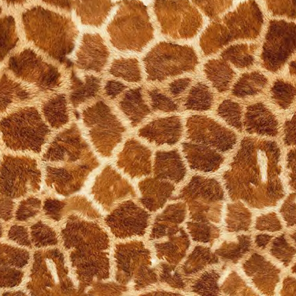 Siser Easy Patterns Wild Giraffe Siser Easy Patterns Wild Giraffe