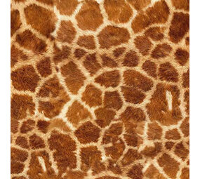 Siser Easy Patterns Wild Giraffe Siser Easy Patterns Wild Giraffe