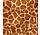 Siser Easy Patterns Wild Giraffe