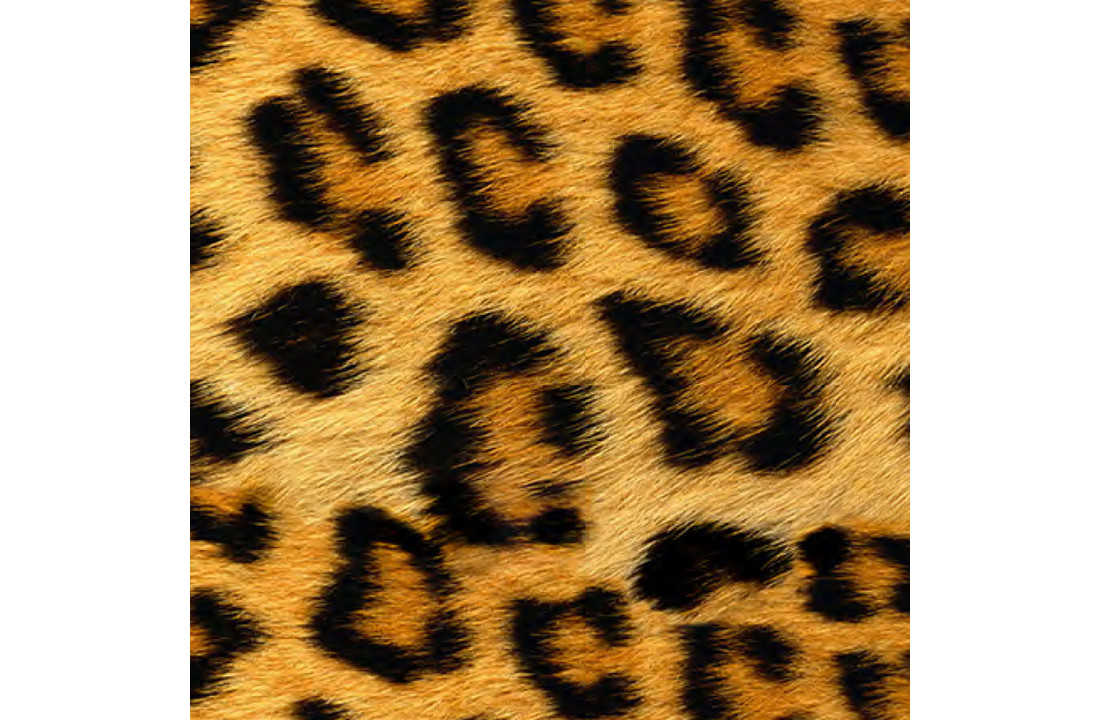 Siser Easy Patterns Wild Leopard