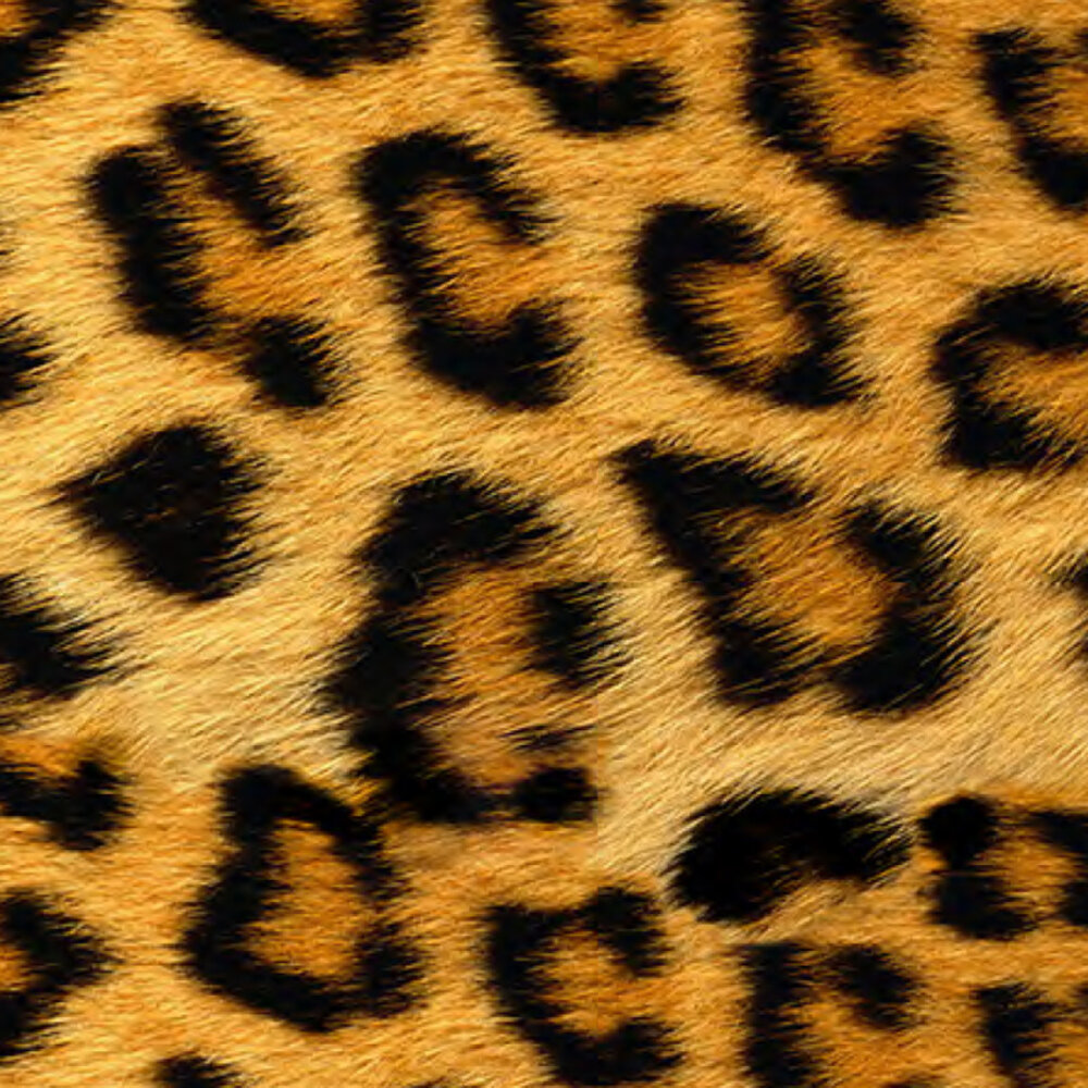 Siser EasyPatterns® Wild Leopard Siser EasyPatterns® Wild Leopard