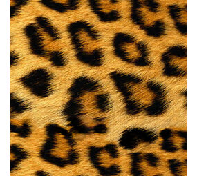 Siser EasyPatterns® Wild Leopard Siser EasyPatterns® Wild Leopard