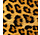 Siser EasyPatterns® Wild Leopard
