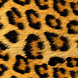 Siser Siser EasyPatterns® Wild Leopard Siser Siser EasyPatterns® Wild Leopard