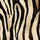 Siser EasyPatterns® Wild Zebra Siser EasyPatterns® Wild Zebra