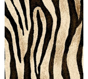 Siser EasyPatterns® Wild Zebra Siser EasyPatterns® Wild Zebra