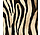 Siser EasyPatterns® Wild Zebra