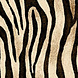 Siser Siser EasyPatterns® Wild Zebra Siser Siser EasyPatterns® Wild Zebra