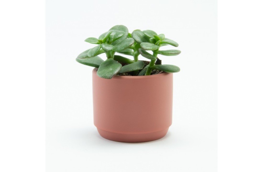 Bloempotje keramiek: Terracotta
