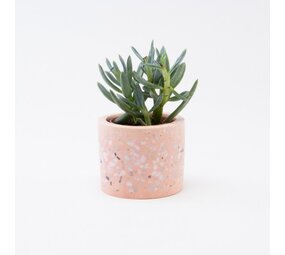 Terrazzo Bloempotje - Blush Terrazzo Bloempotje - Blush