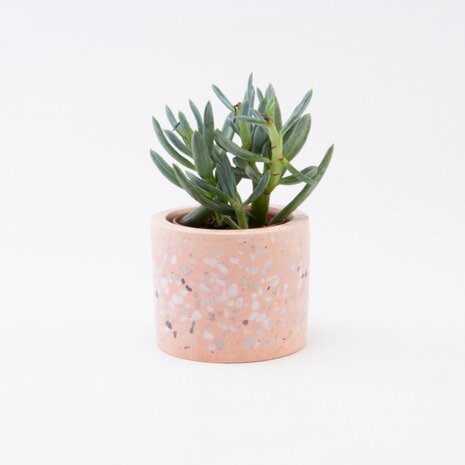 Terrazzo Bloempotje - Blush Terrazzo Bloempotje - Blush