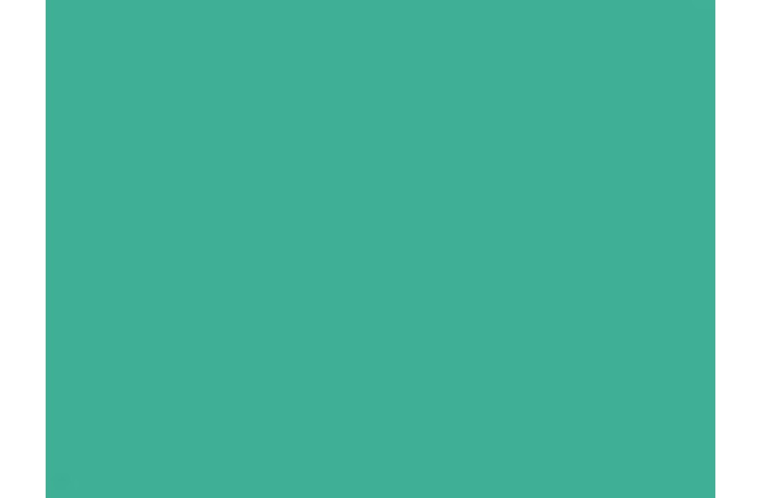 Vinyl Mint