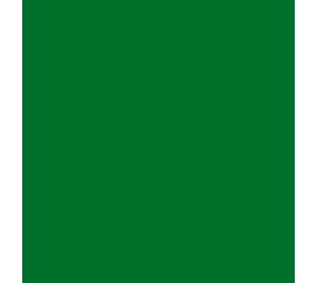 Flexfolie EasyWeed™ Stretch  groen Flexfolie EasyWeed™ Stretch  groen