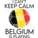 LouVik DTF "I can't keep calm, Belgium is playing" LouVik DTF "I can't keep calm, Belgium is playing"