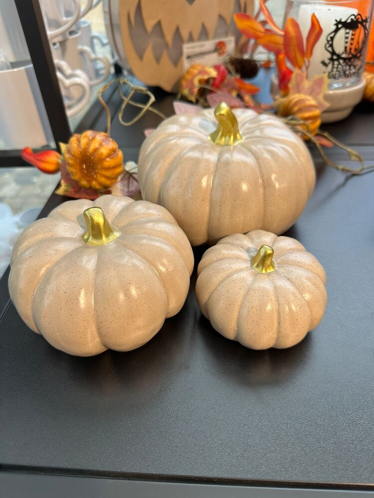 Pompoen Rond (S) Pompoen Rond (S)