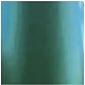 Chameleon flex Green/Teal Chameleon flex Green/Teal